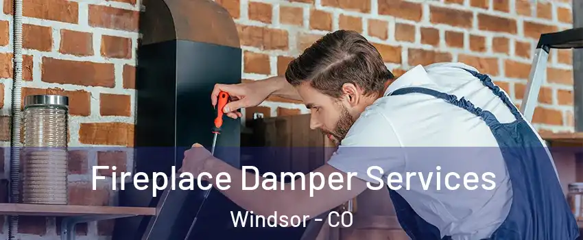 Fireplace Damper Services Windsor - CO