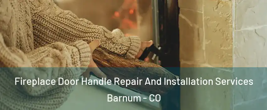 Fireplace Door Handle Repair And Installation Services Barnum - CO