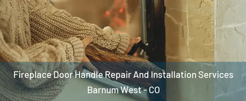 Fireplace Door Handle Repair And Installation Services Barnum West - CO