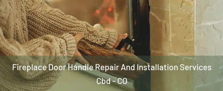 Fireplace Door Handle Repair And Installation Services Cbd - CO