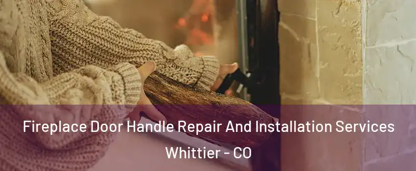 Fireplace Door Handle Repair And Installation Services Whittier - CO