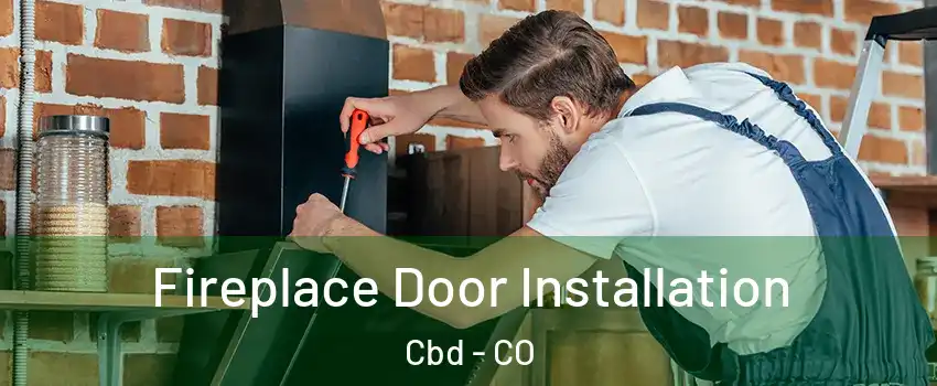 Fireplace Door Installation Cbd - CO