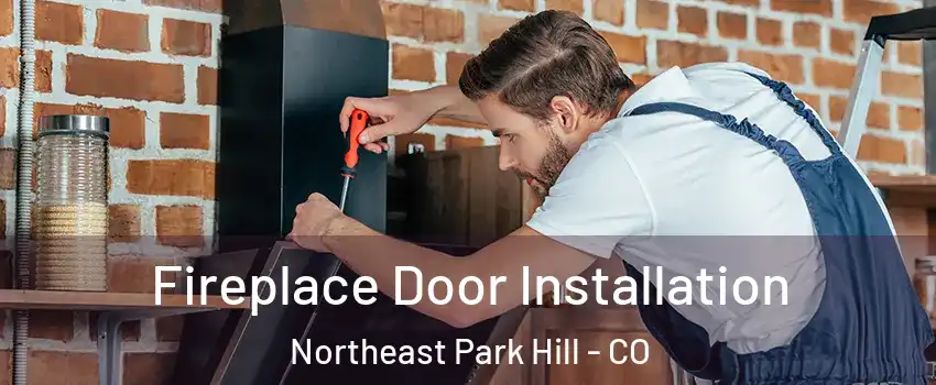 Fireplace Door Installation Northeast Park Hill - CO