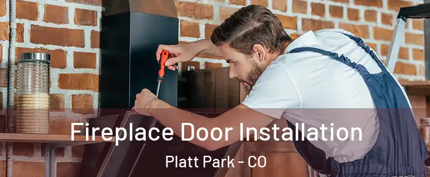 Fireplace Door Installation Platt Park - CO