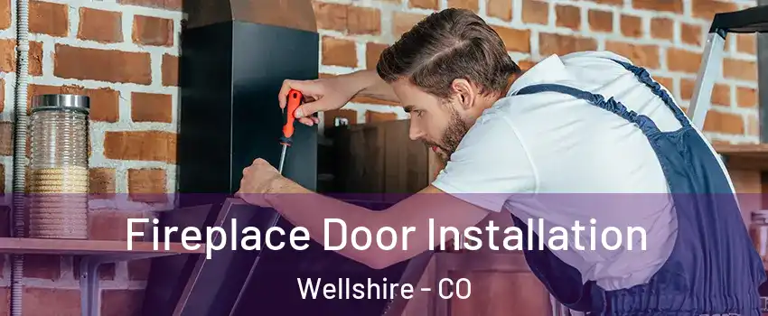 Fireplace Door Installation Wellshire - CO