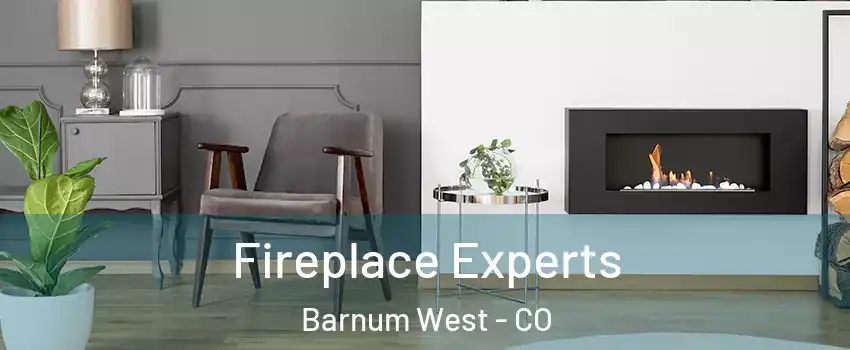 Fireplace Experts Barnum West - CO