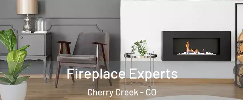 Fireplace Experts Cherry Creek - CO