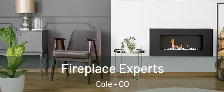 Fireplace Experts Cole - CO