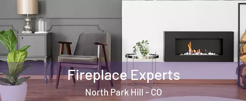 Fireplace Experts North Park Hill - CO