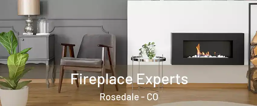 Fireplace Experts Rosedale - CO