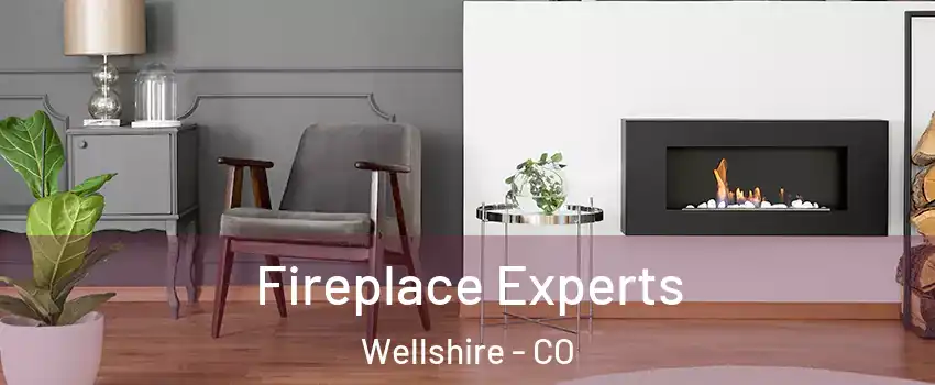 Fireplace Experts Wellshire - CO