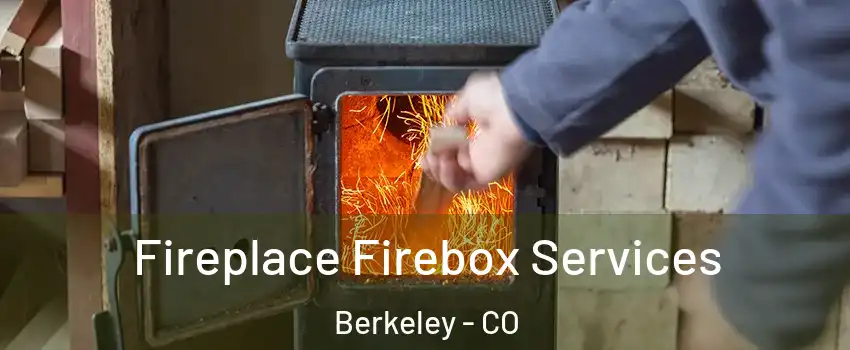 Fireplace Firebox Services Berkeley - CO