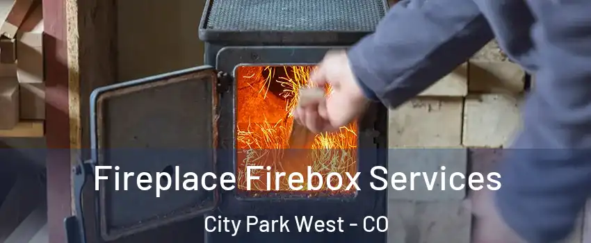 Fireplace Firebox Services City Park West - CO