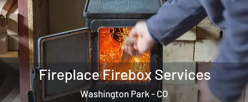 Fireplace Firebox Services Washington Park - CO