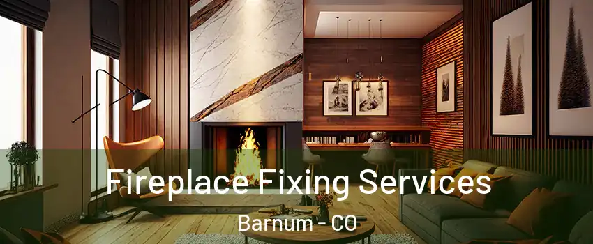 Fireplace Fixing Services Barnum - CO