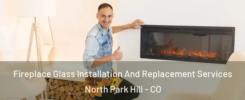 Fireplace Glass Installation And Replacement Services North Park Hill - CO