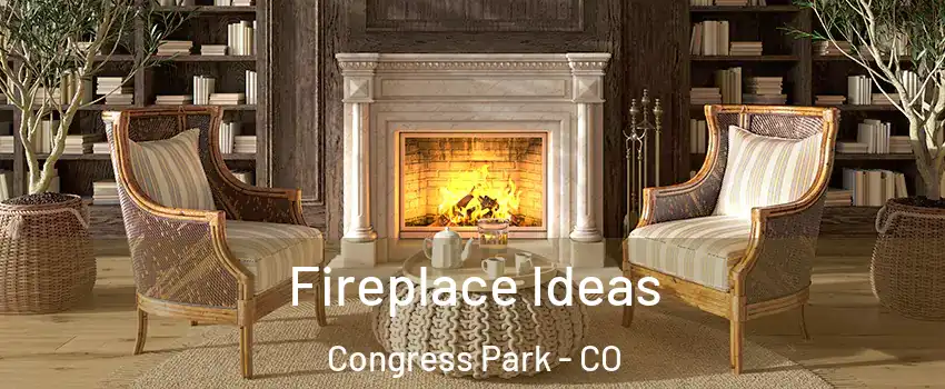 Fireplace Ideas Congress Park - CO