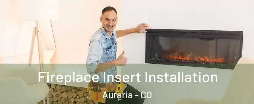 Fireplace Insert Installation Auraria - CO