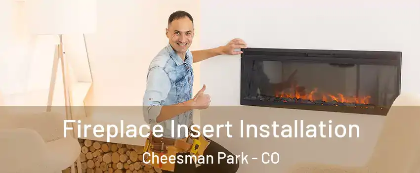 Fireplace Insert Installation Cheesman Park - CO