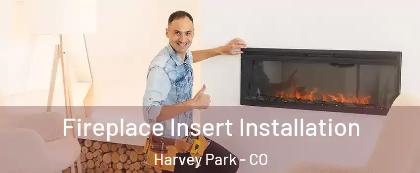 Fireplace Insert Installation Harvey Park - CO