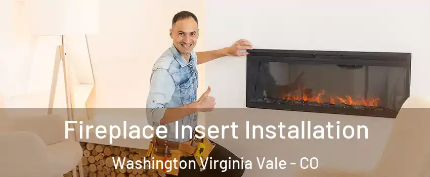 Fireplace Insert Installation Washington Virginia Vale - CO