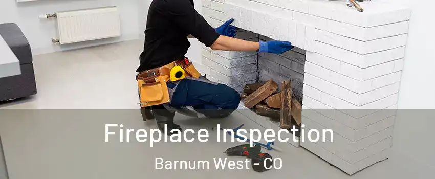 Fireplace Inspection Barnum West - CO