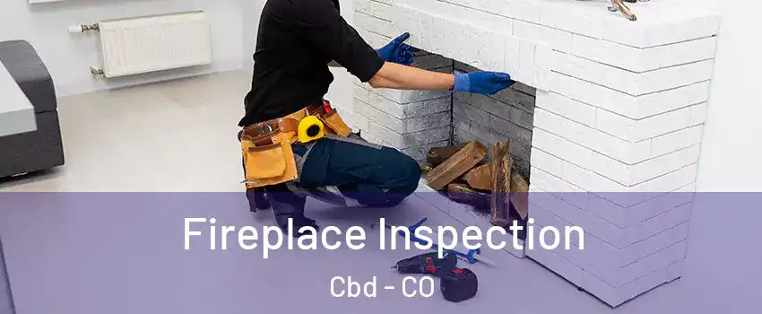 Fireplace Inspection Cbd - CO