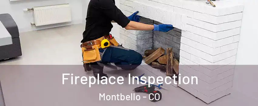 Fireplace Inspection Montbello - CO