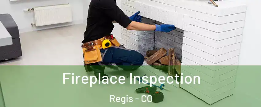 Fireplace Inspection Regis - CO