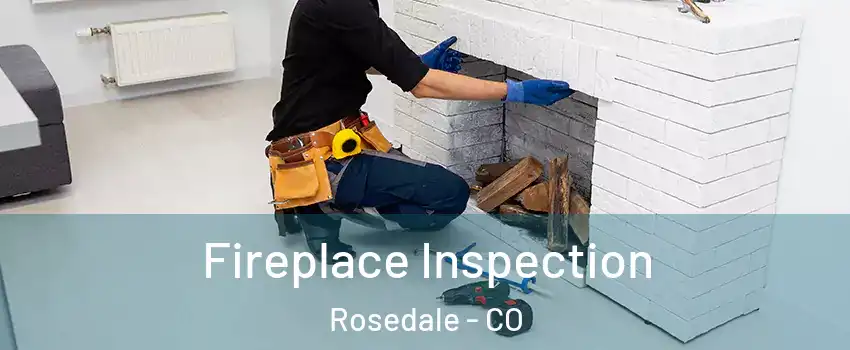 Fireplace Inspection Rosedale - CO