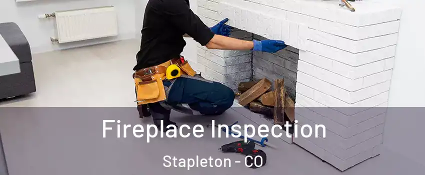 Fireplace Inspection Stapleton - CO