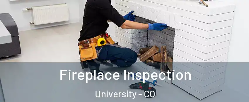 Fireplace Inspection University - CO