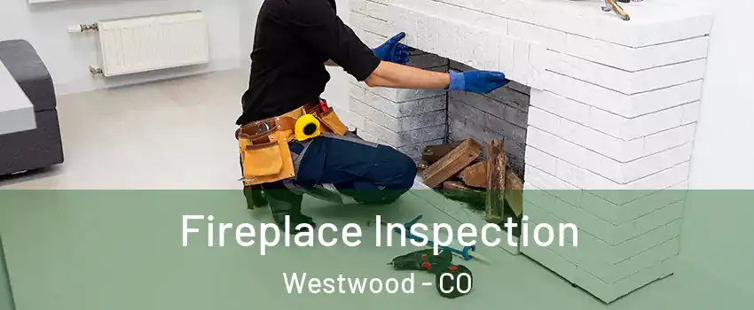 Fireplace Inspection Westwood - CO