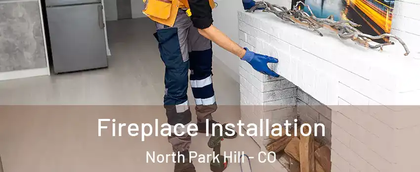 Fireplace Installation North Park Hill - CO