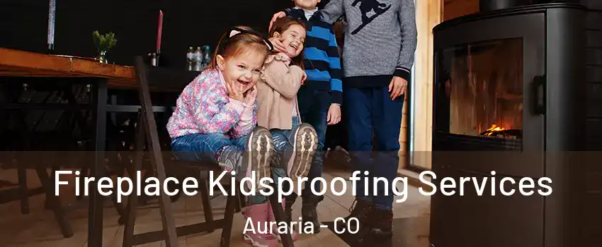 Fireplace Kidsproofing Services Auraria - CO