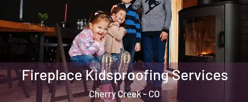 Fireplace Kidsproofing Services Cherry Creek - CO