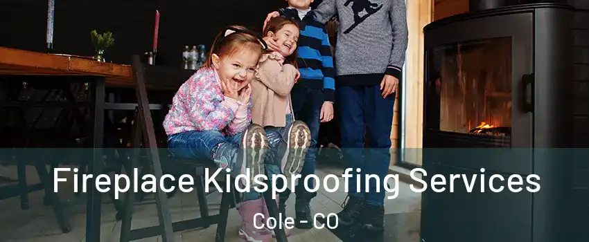 Fireplace Kidsproofing Services Cole - CO