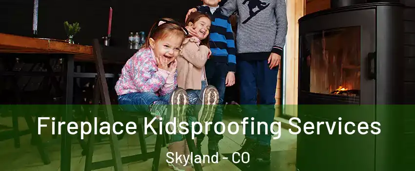 Fireplace Kidsproofing Services Skyland - CO