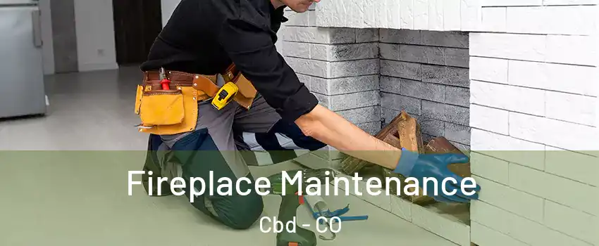 Fireplace Maintenance Cbd - CO