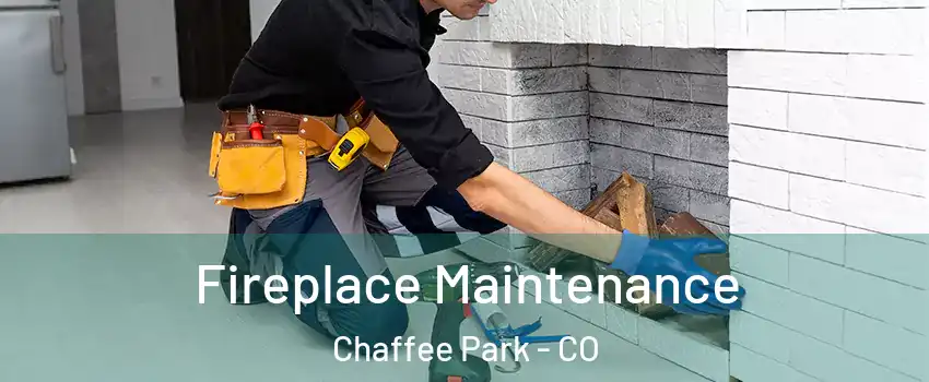 Fireplace Maintenance Chaffee Park - CO