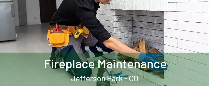 Fireplace Maintenance Jefferson Park - CO