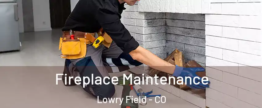 Fireplace Maintenance Lowry Field - CO