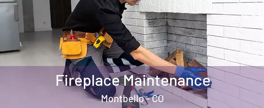 Fireplace Maintenance Montbello - CO