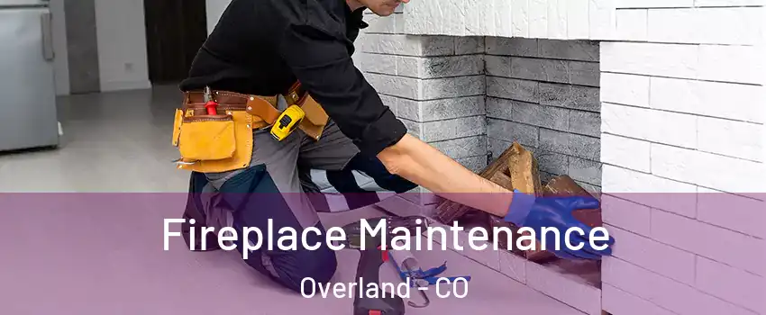 Fireplace Maintenance Overland - CO