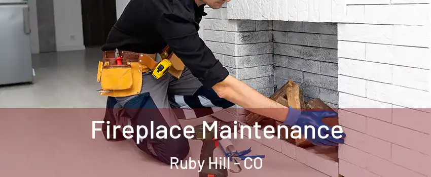 Fireplace Maintenance Ruby Hill - CO