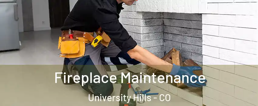 Fireplace Maintenance University Hills - CO