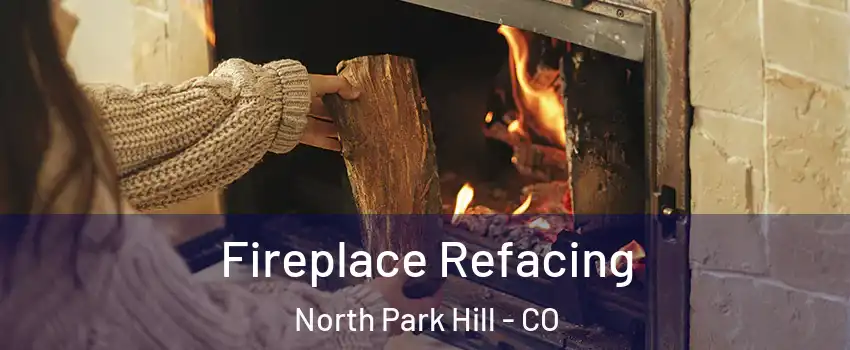 Fireplace Refacing North Park Hill - CO