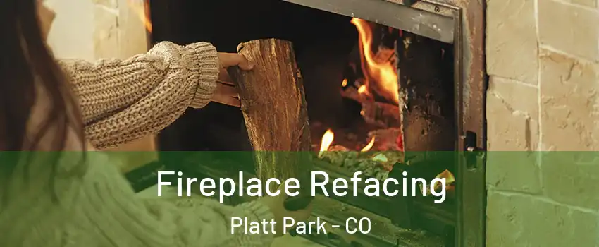 Fireplace Refacing Platt Park - CO