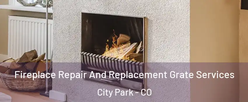 Fireplace Repair And Replacement Grate Services City Park - CO