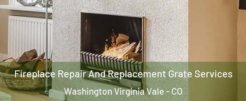 Fireplace Repair And Replacement Grate Services Washington Virginia Vale - CO